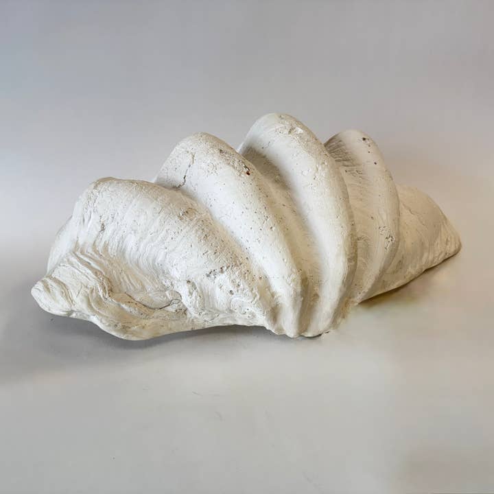 House Parts, Inc. - Wholesale Decorative Tabletop Object - South Pacific Clam Shell8