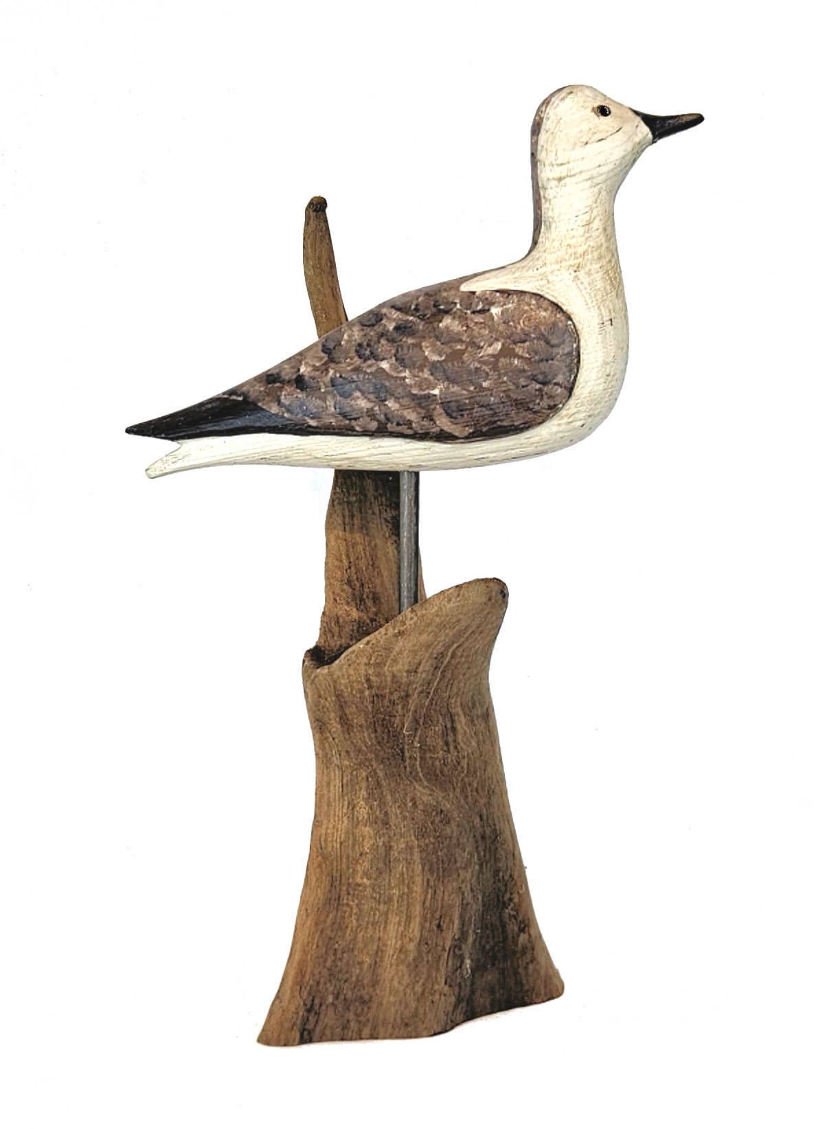 Three Points Design - Wholesale Decorative Figurine - Sanderling Shorebird Decoy - High Head0