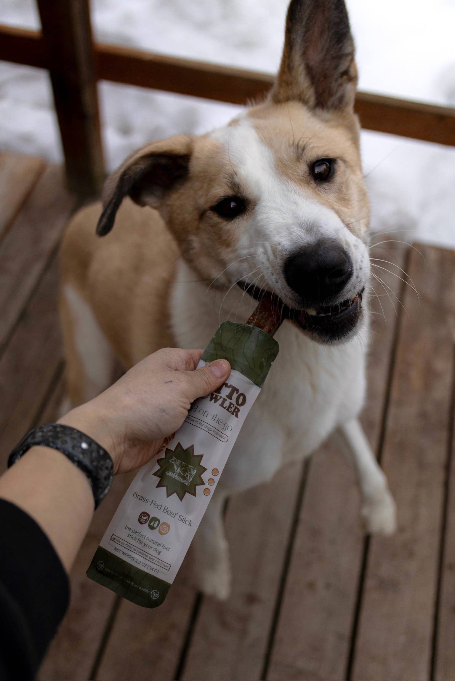 Litto Howler - Wholesale Pet Treats - Dog - Grass-Fed Beef Sticks2