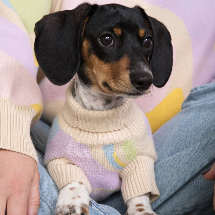 Wavy Knitted Dog Sweater for wholesale by Sunbean