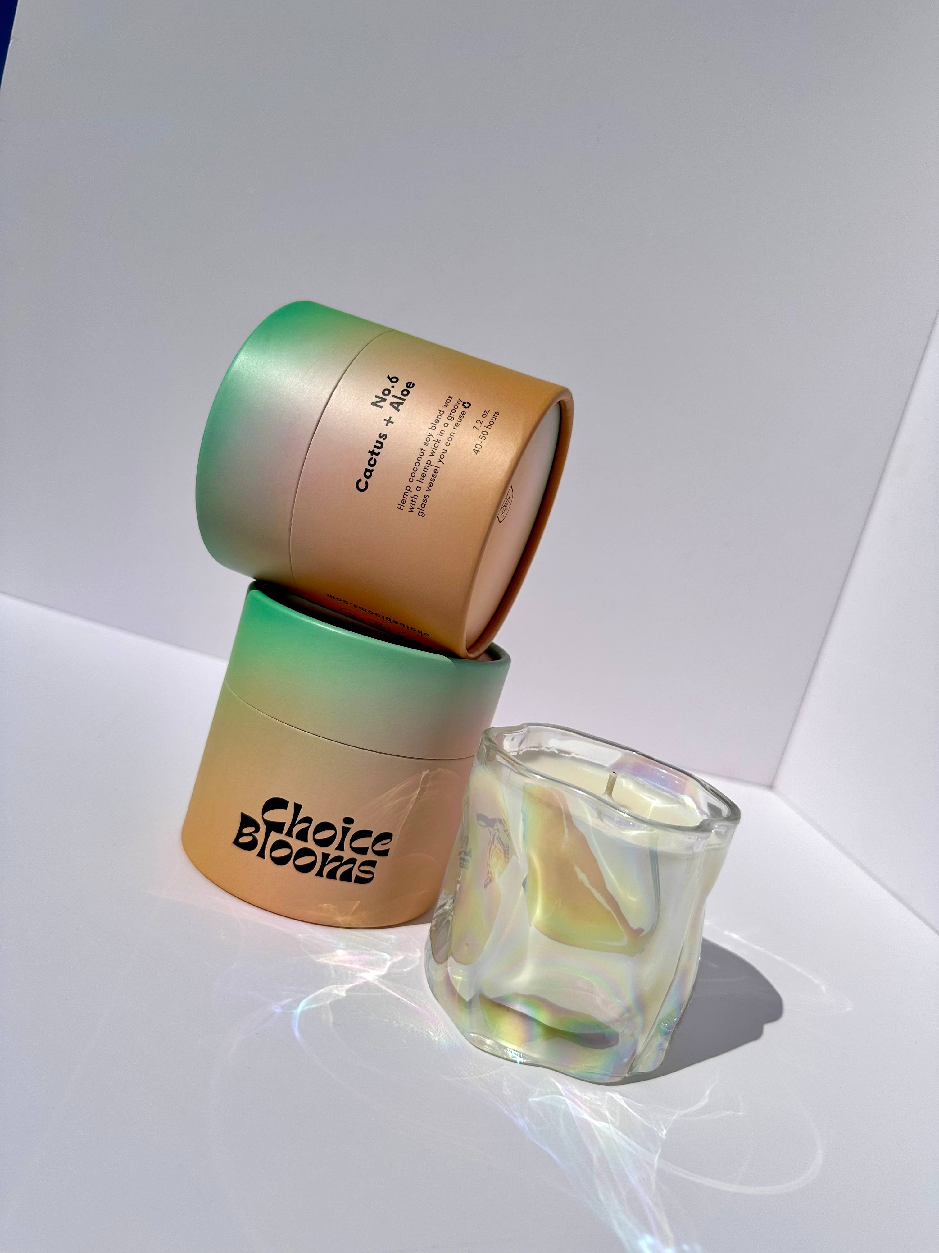 Choice Blooms - Vendita all'ingrosso Candela in vasetto - Candela Cactus + Aloe da 7,2 oz. N. 64