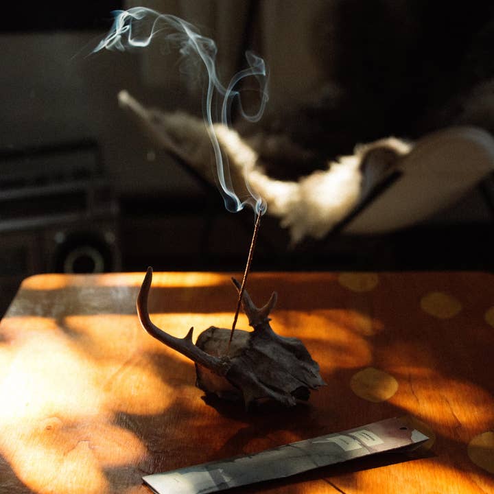 Juniper Ridge - Wholesale Incense - Campfire Incense – California Juniper3