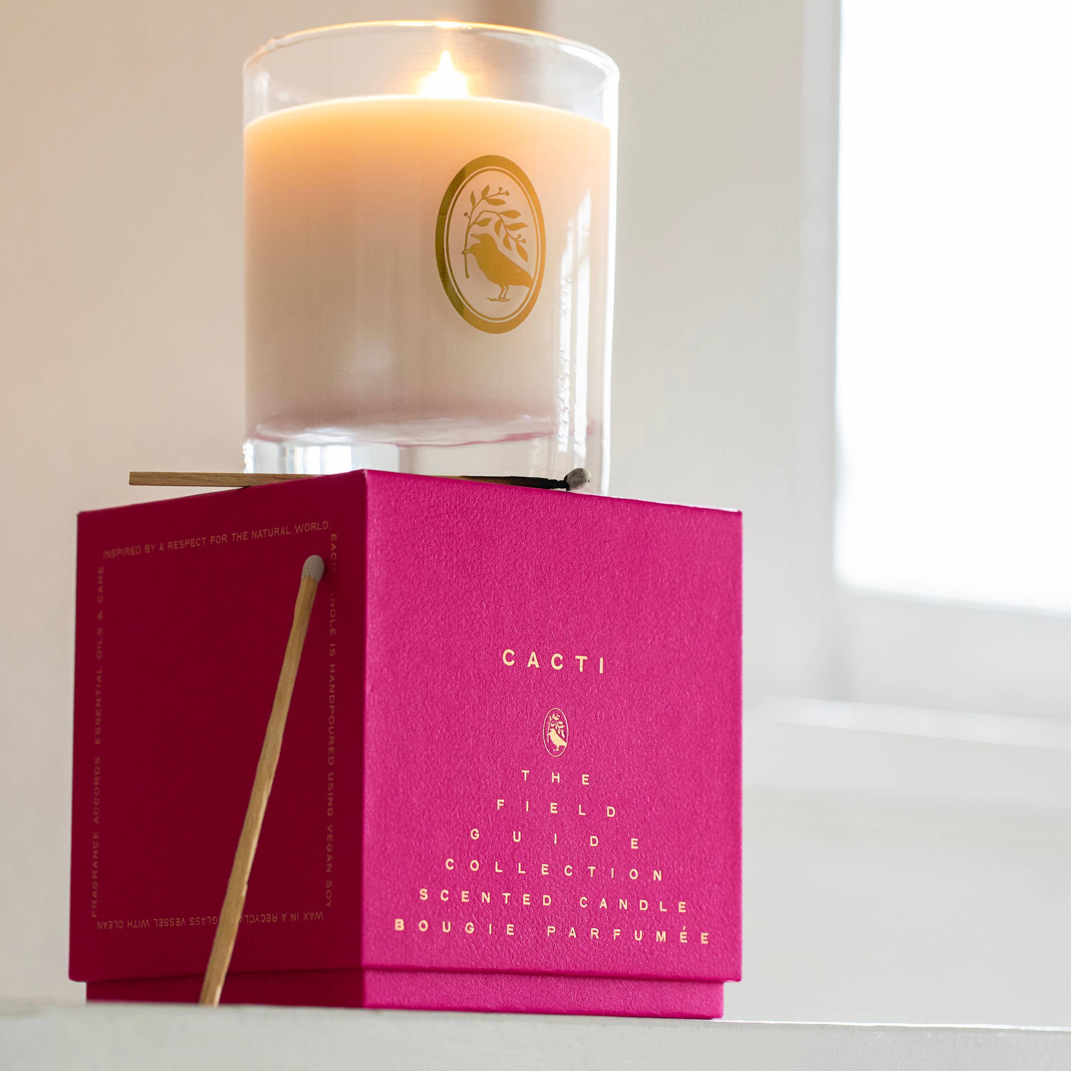 Field Guide Essentials - Vendita all'ingrosso Candela in vasetto - Candela di Soia alla Firma di Cactus1