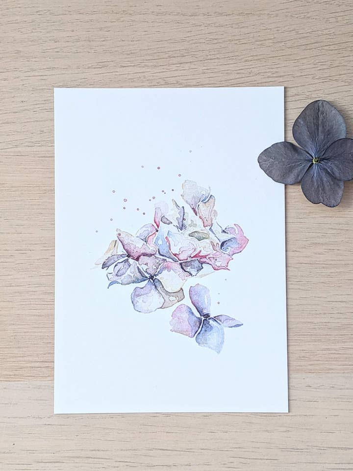 Hortensia voor wholesale door ArtworkByMadelon