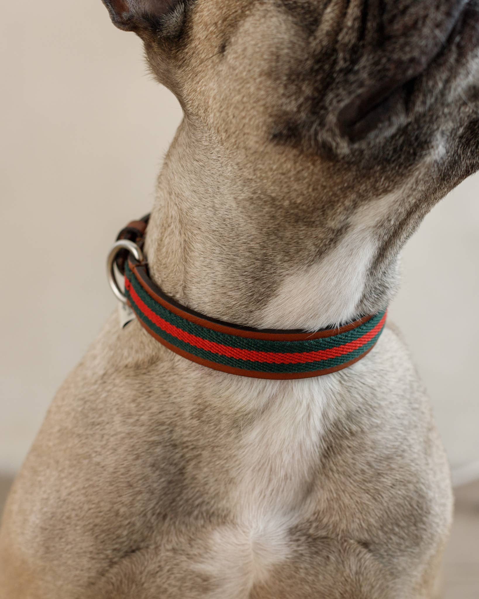 Buddys dogwear - Vente Collier – chien - Collier pour chien style baseball vert1