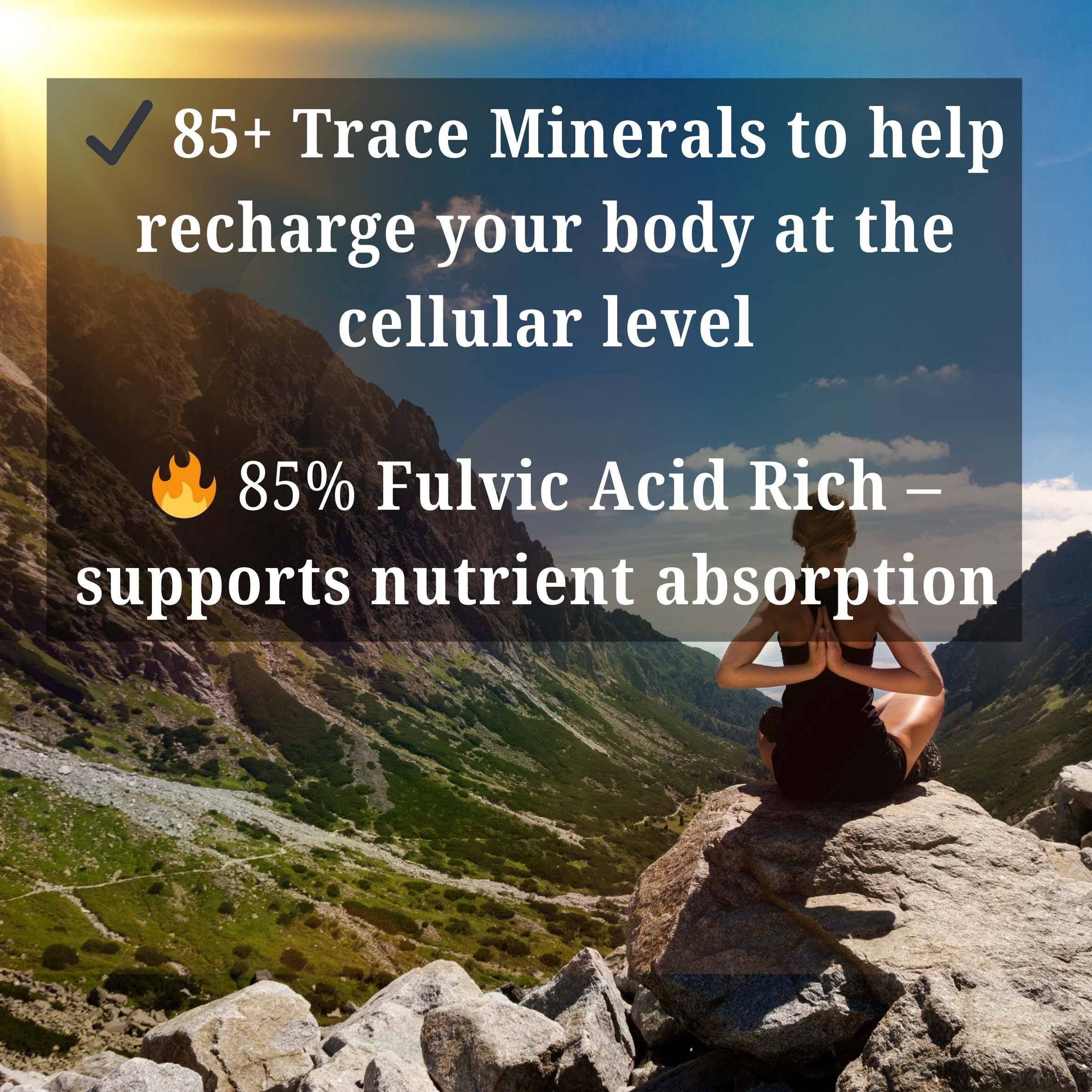 Nurtrient Boost – wholesale Oral supplement/vitamin – 100% Organic Shilajit Resin - PURE3