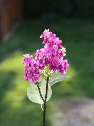 Haste curta Lilás Rosa Escuro Artificial por atacado de Mezu Silk Flowers