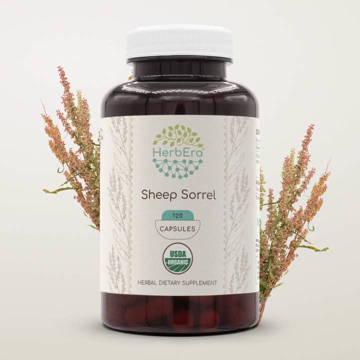 HerbEra - Wholesale Voedingssupplement/vitamine - Capsules met schapenzuring1