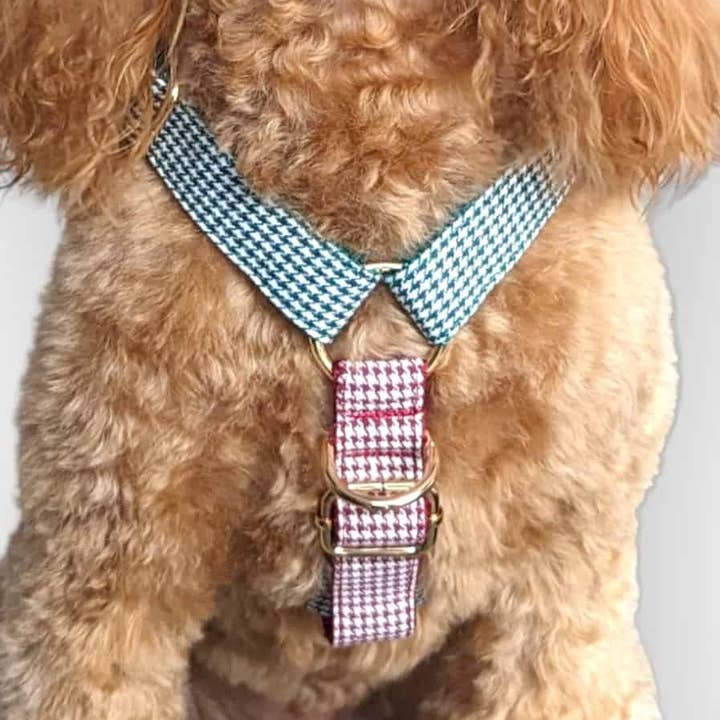 Houndstooth "No-Pull" Harness - Emerald ft Shiraz for wholesale by Queenie's Pawprints