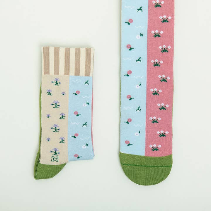 Sock Affairs - Wholesale Socks - Unisex - Birth of Venus Socks Gift