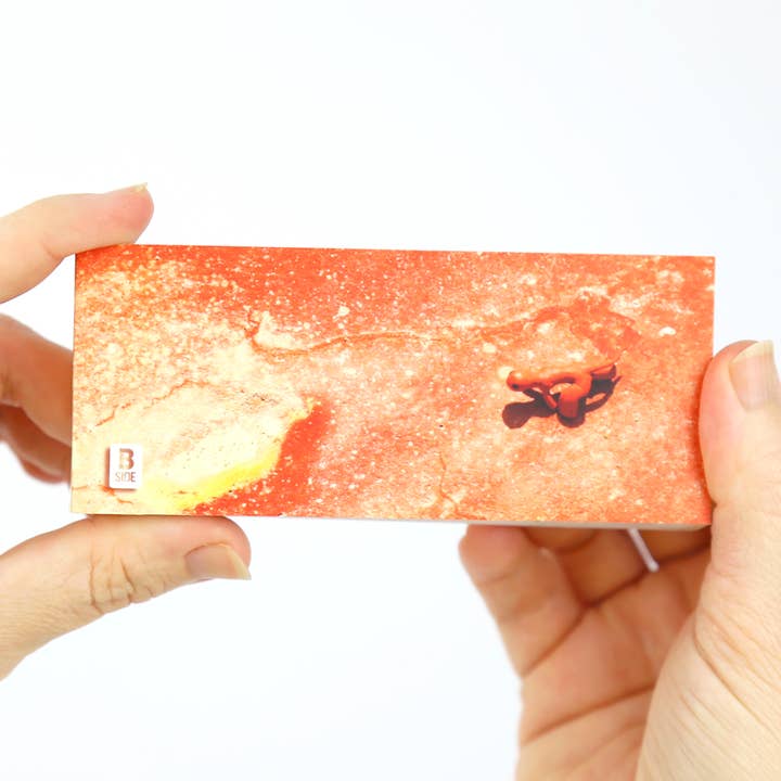 Flipboku - Wholesale Display Book - Muedra Flipbook3