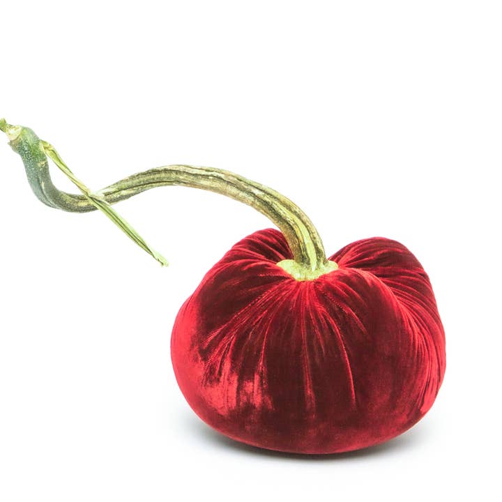 Velours de soie cerise citrouille pour la vente par Hot Skwash