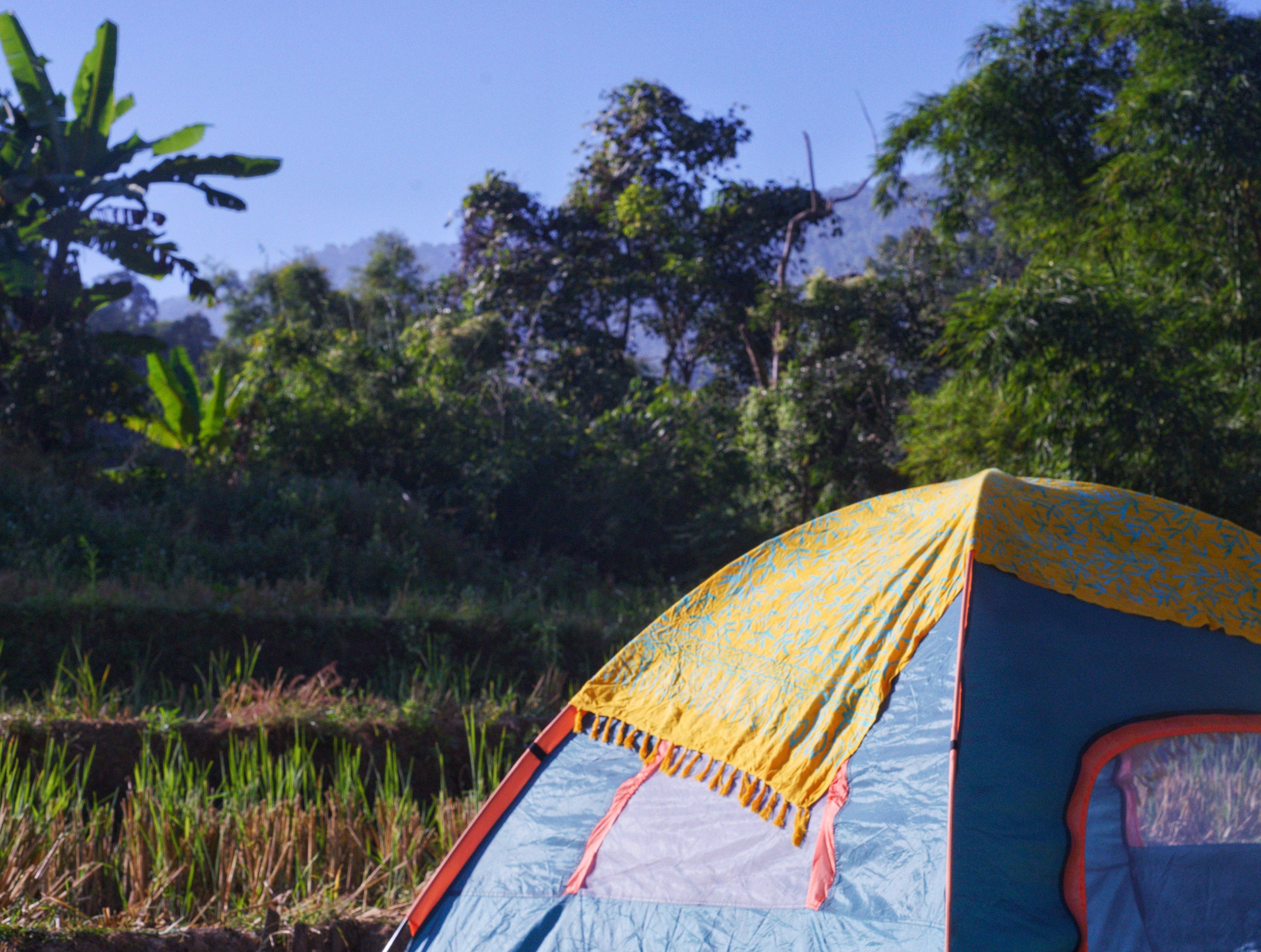 YUMI & KORA – Engroshandel Strandbadekåbe – Dame – Yellow batik sarong med blåt sivemønster - LANTA REEF13