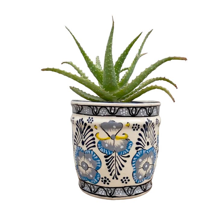 BARREL POT and other Purchase Wholesale abbigliamento taglie comode giovanile. Free Returns & Net 60 Terms on Faire trending on Faire.