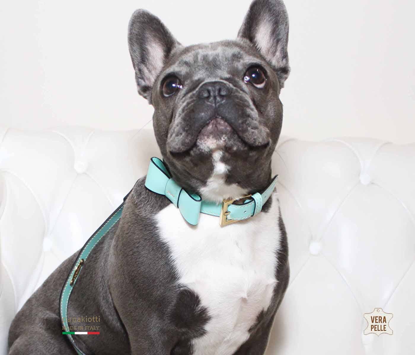 Pupakiotti Pets, Brand in Italy Srl. – coleira - Cão por atacado – Coleira premium para cachorro em couro legítimo11