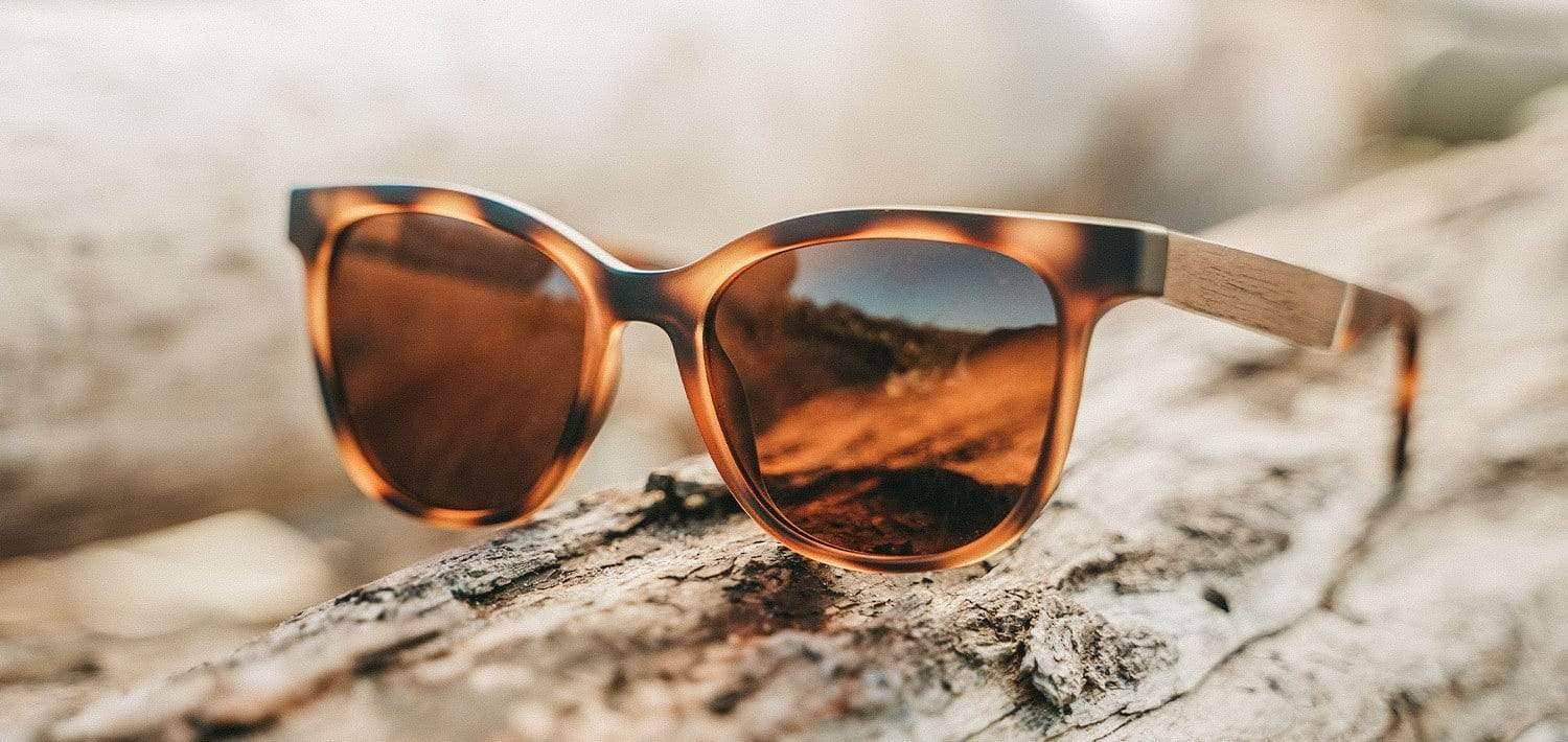 CAMP Eyewear - Wholesale Sunglasses - Unisex - CAMP Cove Sunglasses - Matte Tortoise5