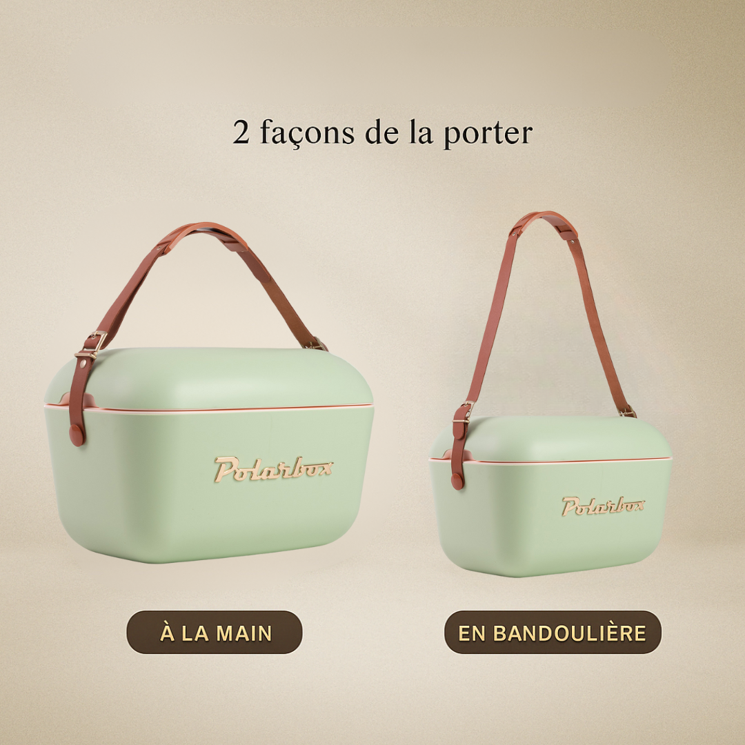 BADAWIN – wholesale Kyl-/kylväska – POLARBOX OLIV 12L KYLARE - GULD12