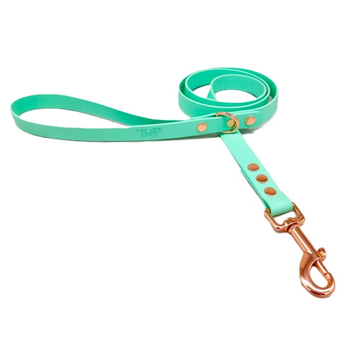 Trinkety Paws - Wholesale Pet collar – Dog - SEAFOAM - Waterproof BioThane© Dog Collar / Dog Lead1