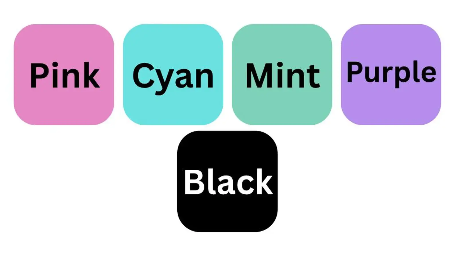 Jinx and Luna Exotics - Wholesale Decorative Tabletop Object - Mini Shrimp and Snail Hide2