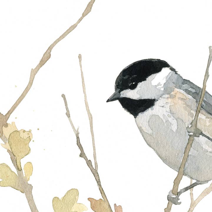 Studio Tuesday - Vendita all'ingrosso Stampa artistica - Stampa acquerello Chickadee, pittura a uccelli4