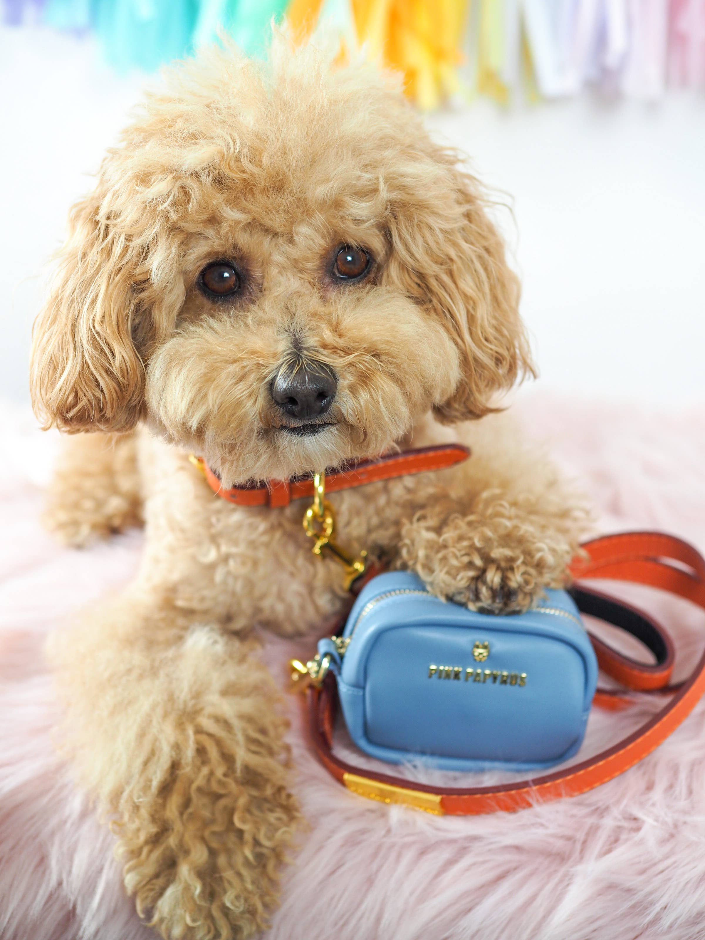 Pink Papyrus | Premium, Durable, & Stylish Dog Products – wholesale Pet poo bag dispenser – Blake Blue Vegan Leather Poop Bag Dispenser And Treat Pouch3