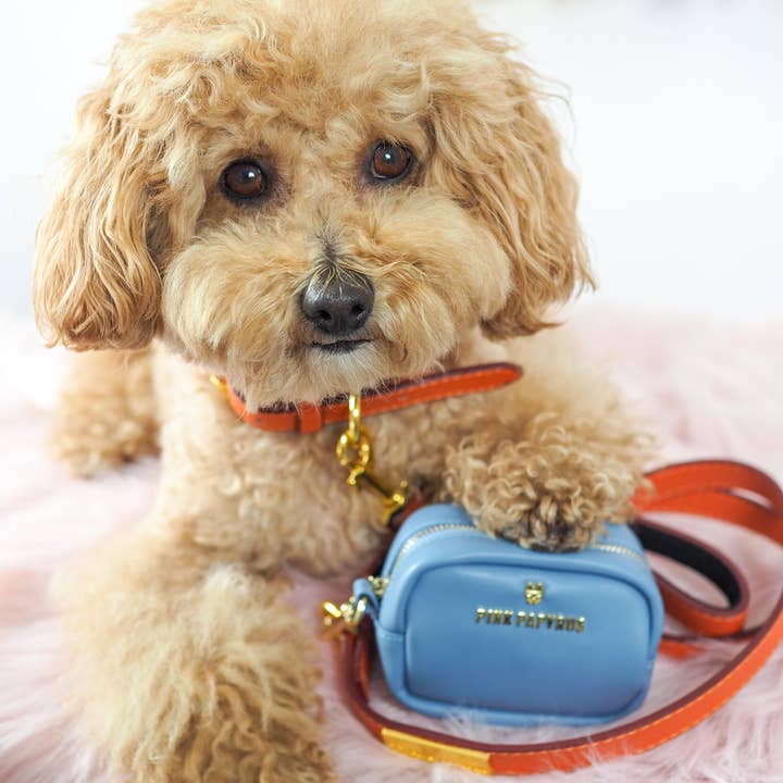 Pink Papyrus | Premium, Durable, & Stylish Dog Products – wholesale Pet poo bag dispenser – Blake Blue Vegan Leather Poop Bag Dispenser And Treat Pouch3