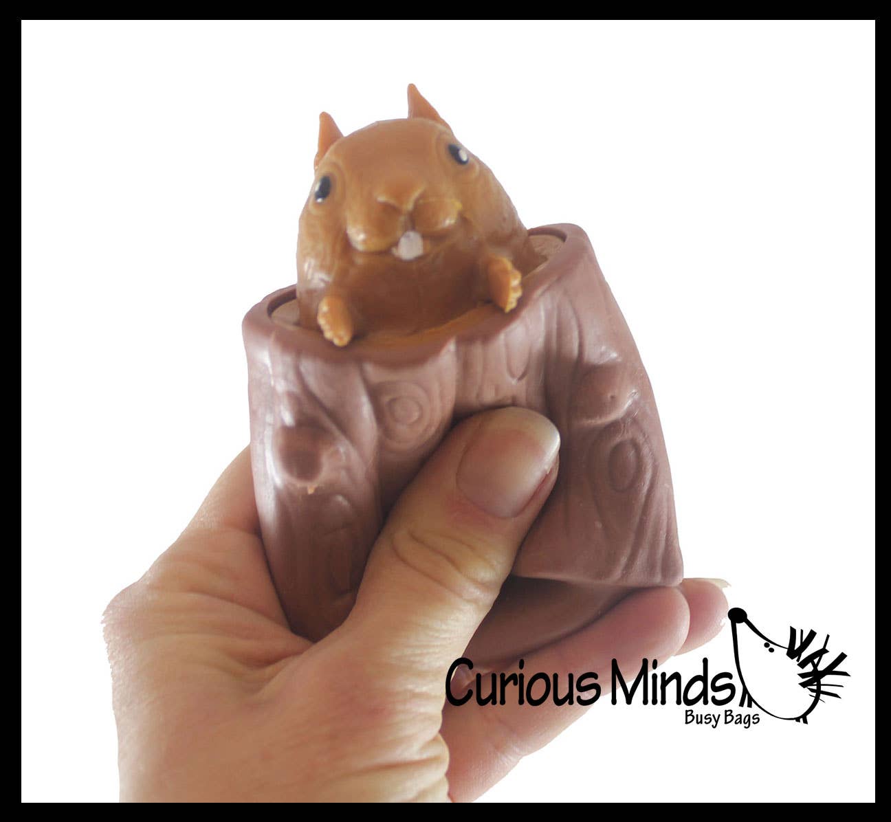 Curious Minds Toys - Wholesale Squishy Toy - Kids & Baby - 1 Squirrel in Stump - Adorable Pop Up - Cute Squeeze Toy - F3