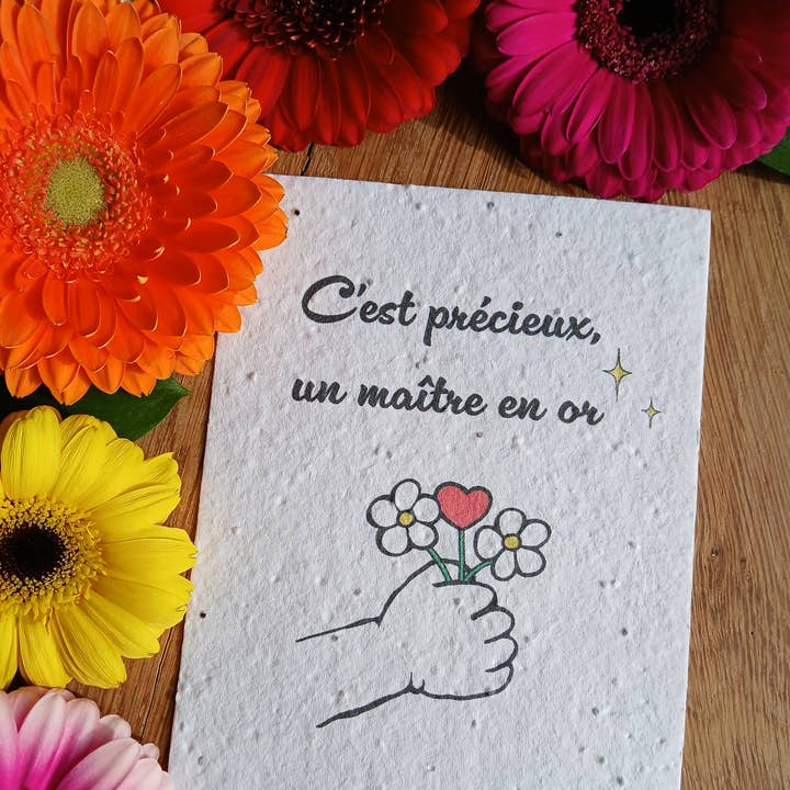 Planteringskort - Ekologiska Blommor - Mästare för wholesale av Libellule et Petit Papillon