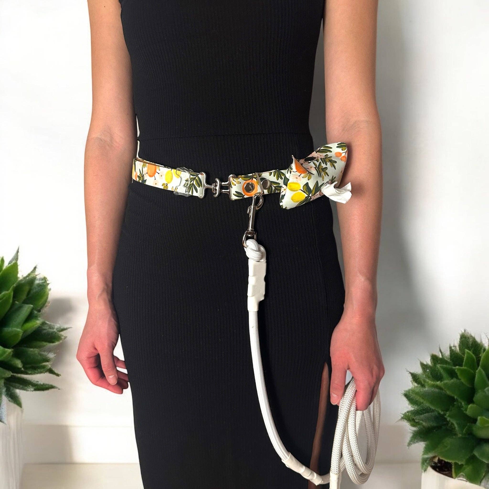 HÜND HAUS - Vente Laisse – chien - Ceinture laisse mains libres pour chien avec corde et porte-sac à déchets0