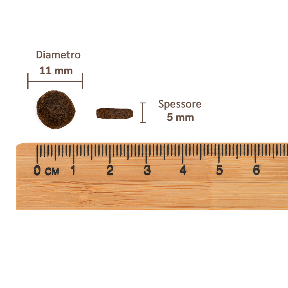 Pettech S.r.l. - Venta al por mayor Comida - Perros - Arenque con arroz integral y calabaza para cachorro 3 kg4