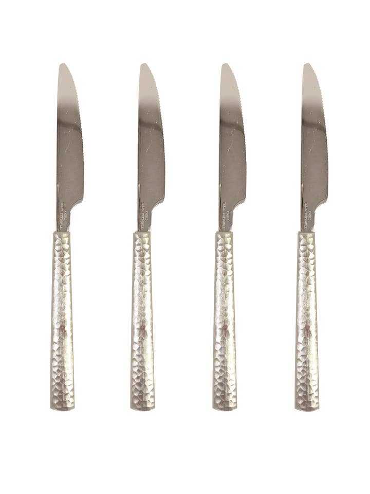 Couteau à fruits (lot de 4) argenté pour la vente par Collection by Nouvelle