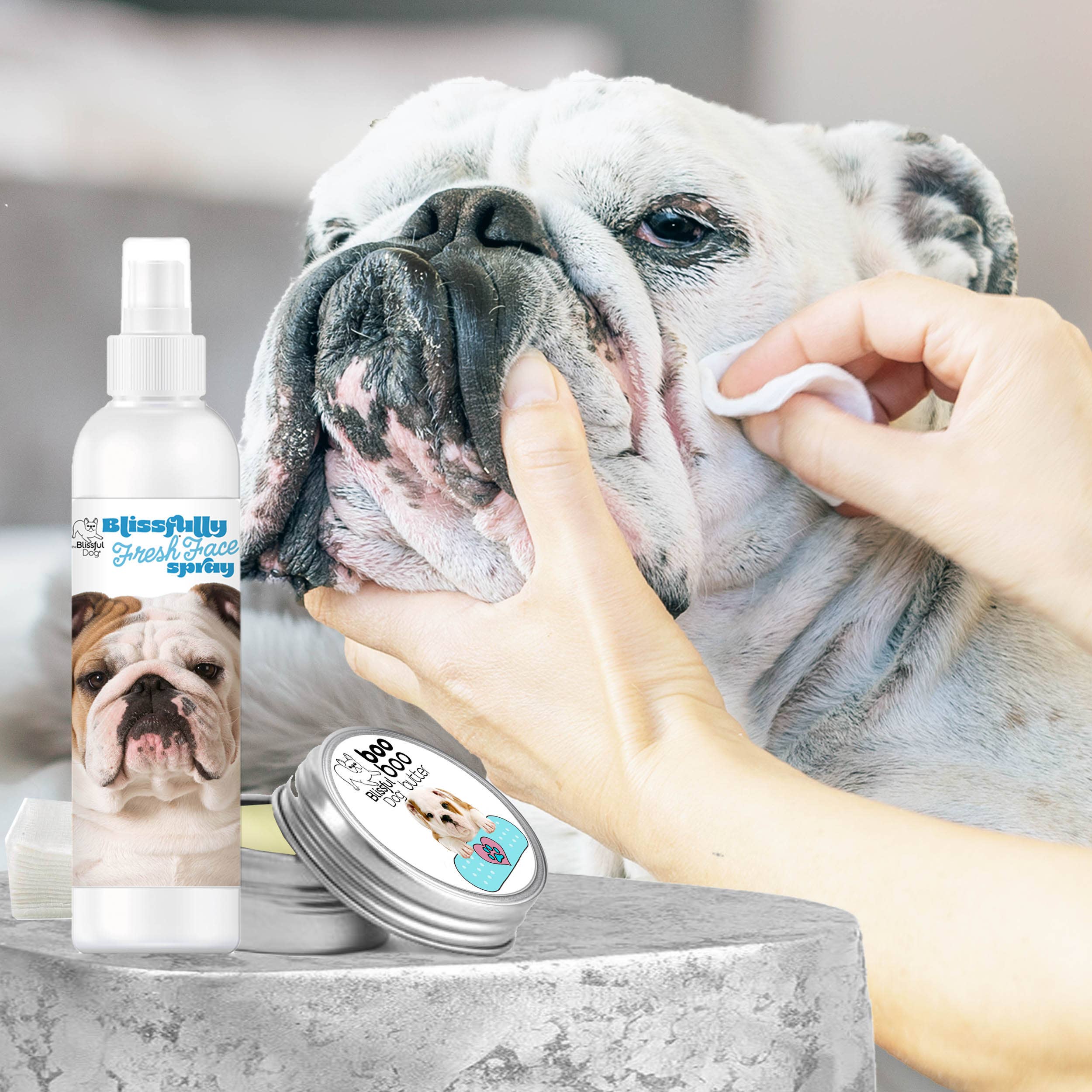 The Blissful Dog - Wholesale Pet Cleaning Supplies - Blissfully Fresh Face Wash I 4, 8 & 16 oz5