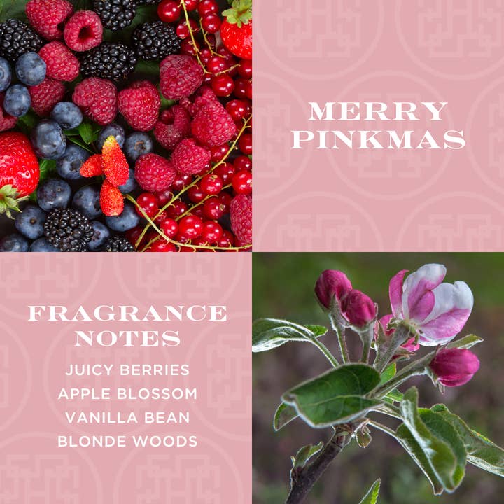 HomeWorx by Slatkin + Co. - Wholesale Jar/Filled Candle - Merry Pinkmas 4-wick Candle1