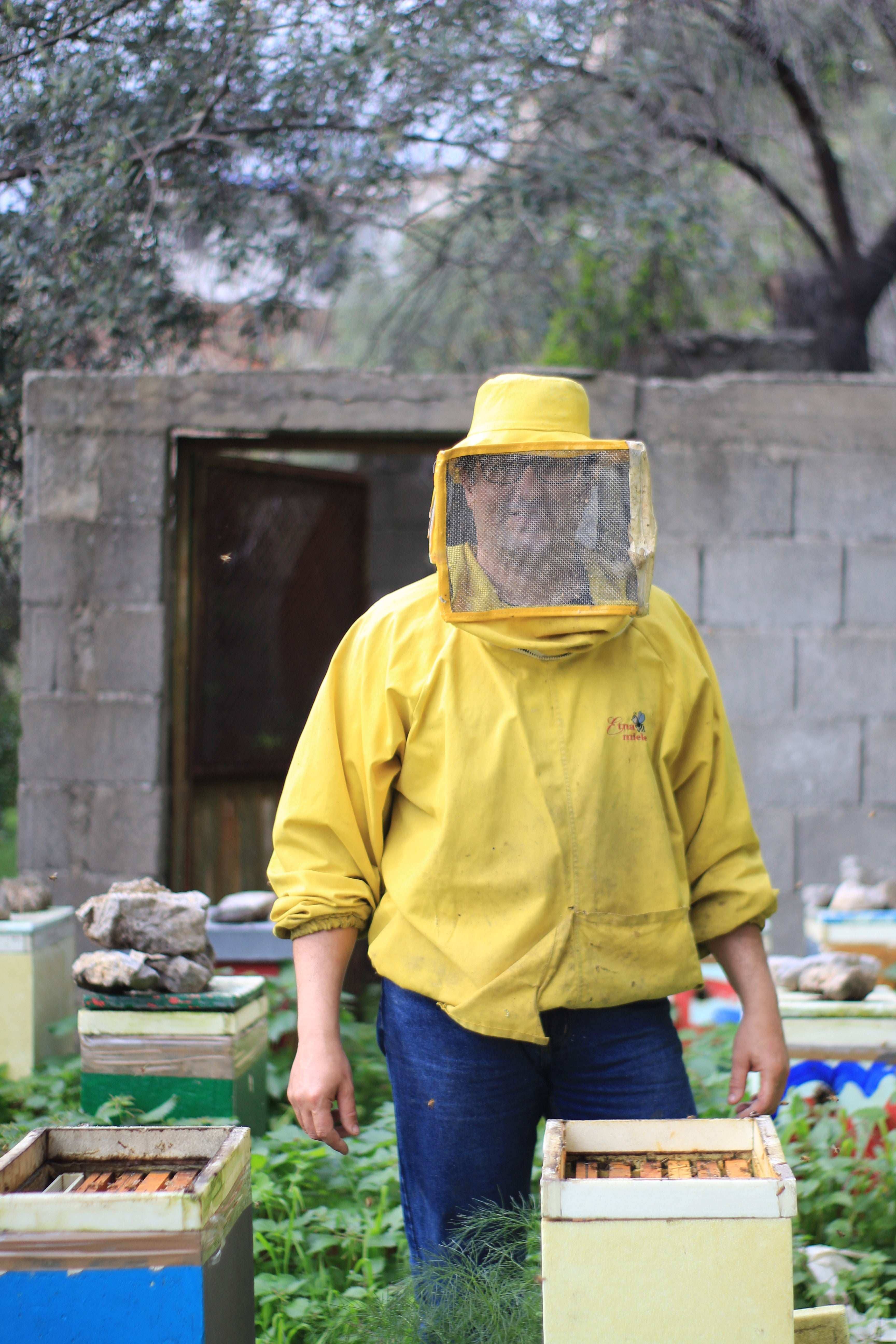 Boniviri BCorp - Wholesale Honey - Trio of Organic Sicilian Honey - Bestseller6