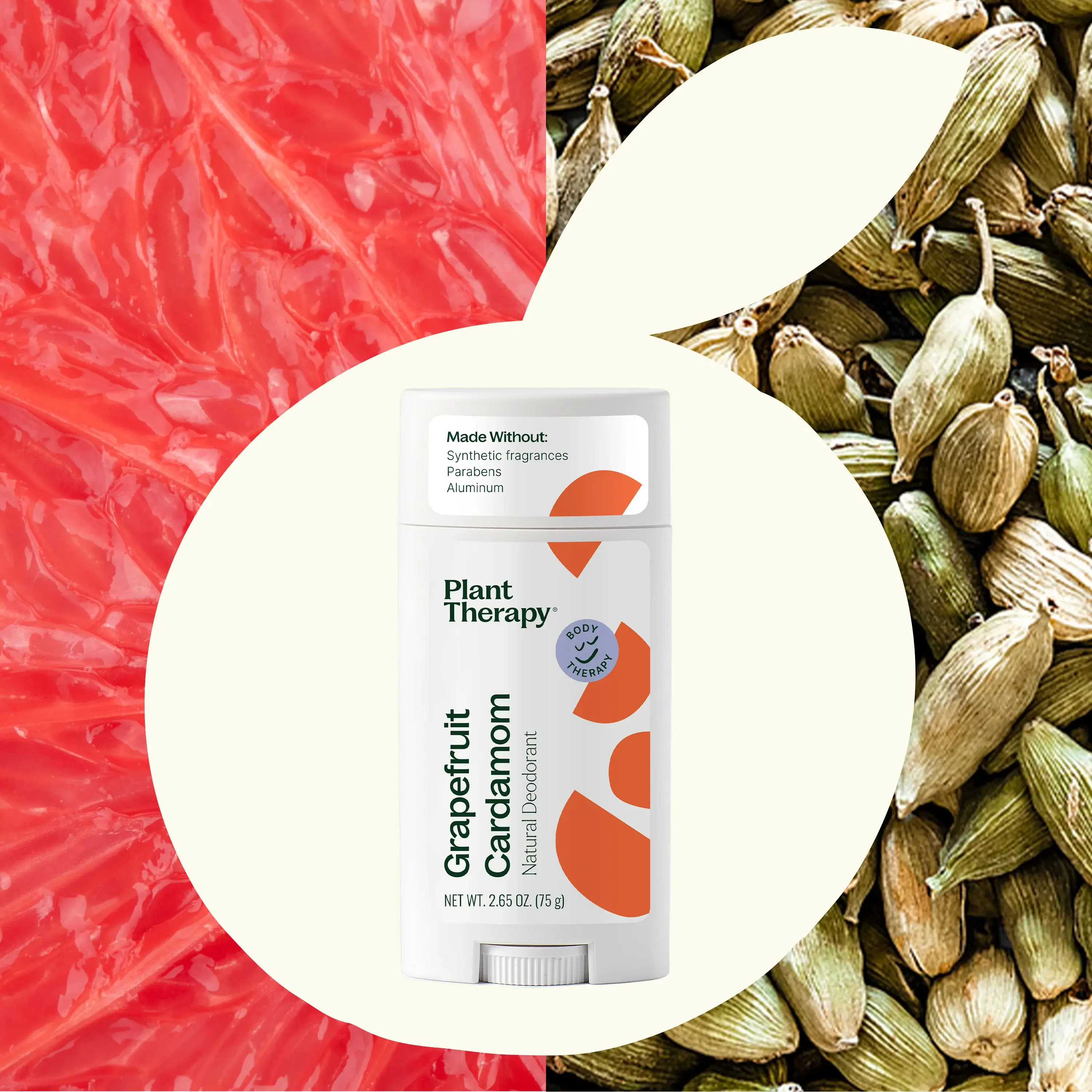 Plant Therapy - Wholesale Deodorant - Unisex - Grapefruit Cardamom Natural Deodorant3