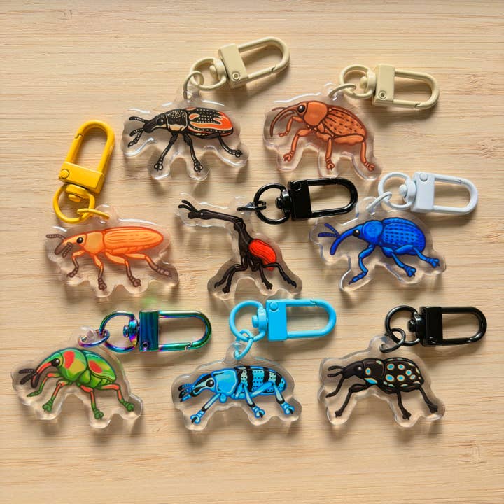 Mystery Mini Weevil Acrylic Keychain for wholesale by Fossil Forager