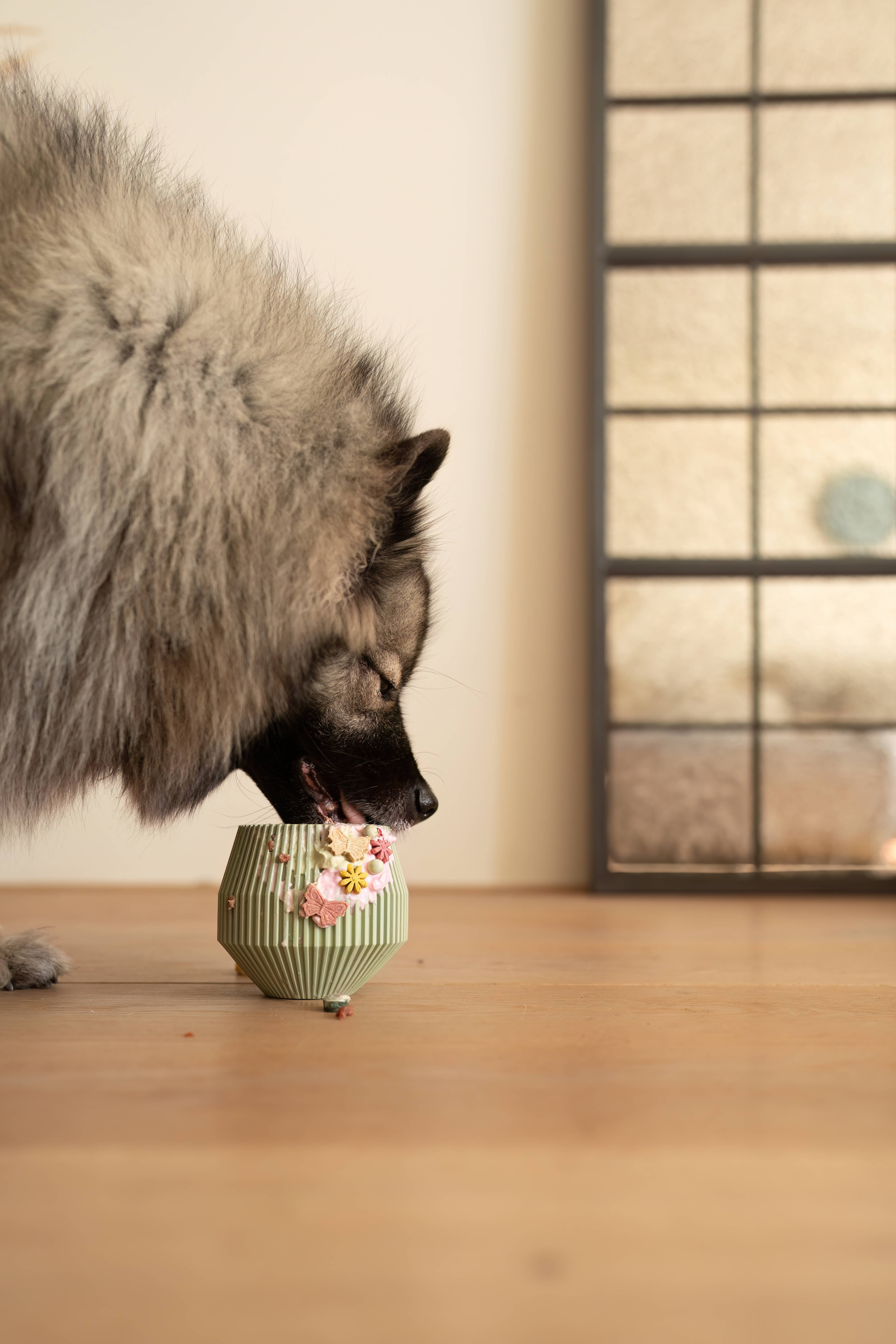 LIEVICK - Wholesale Pet Food Mat - Dog - YUME | enrichment product5