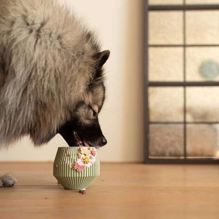 LIEVICK - Wholesale Pet Food Mat - Dog - YUME | enrichment product5