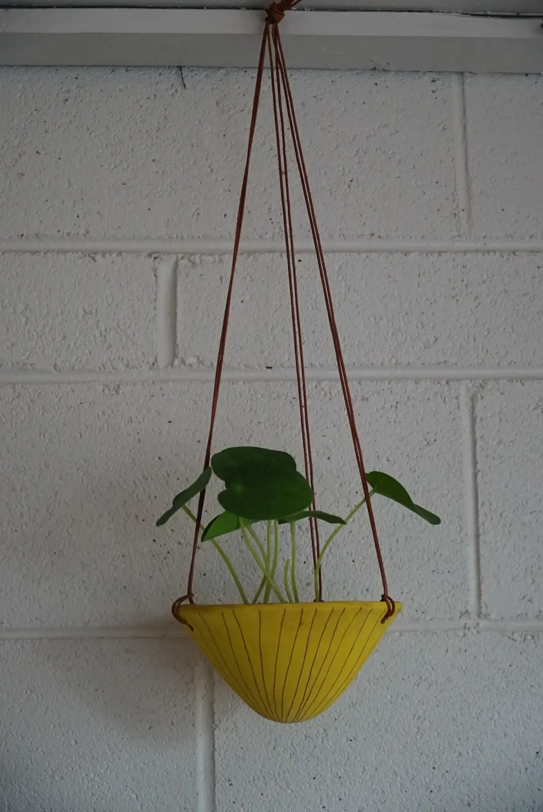 Half Light Honey - Wholesale Hanging Planter - Vertical Line Hanging Planter in Yellow and Terracotta5