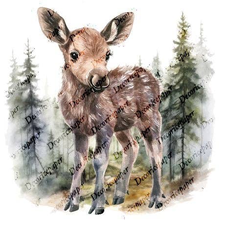 Decoricepaper - Wholesale Craft Supplies - S003 - Mini Rice Paper Set7