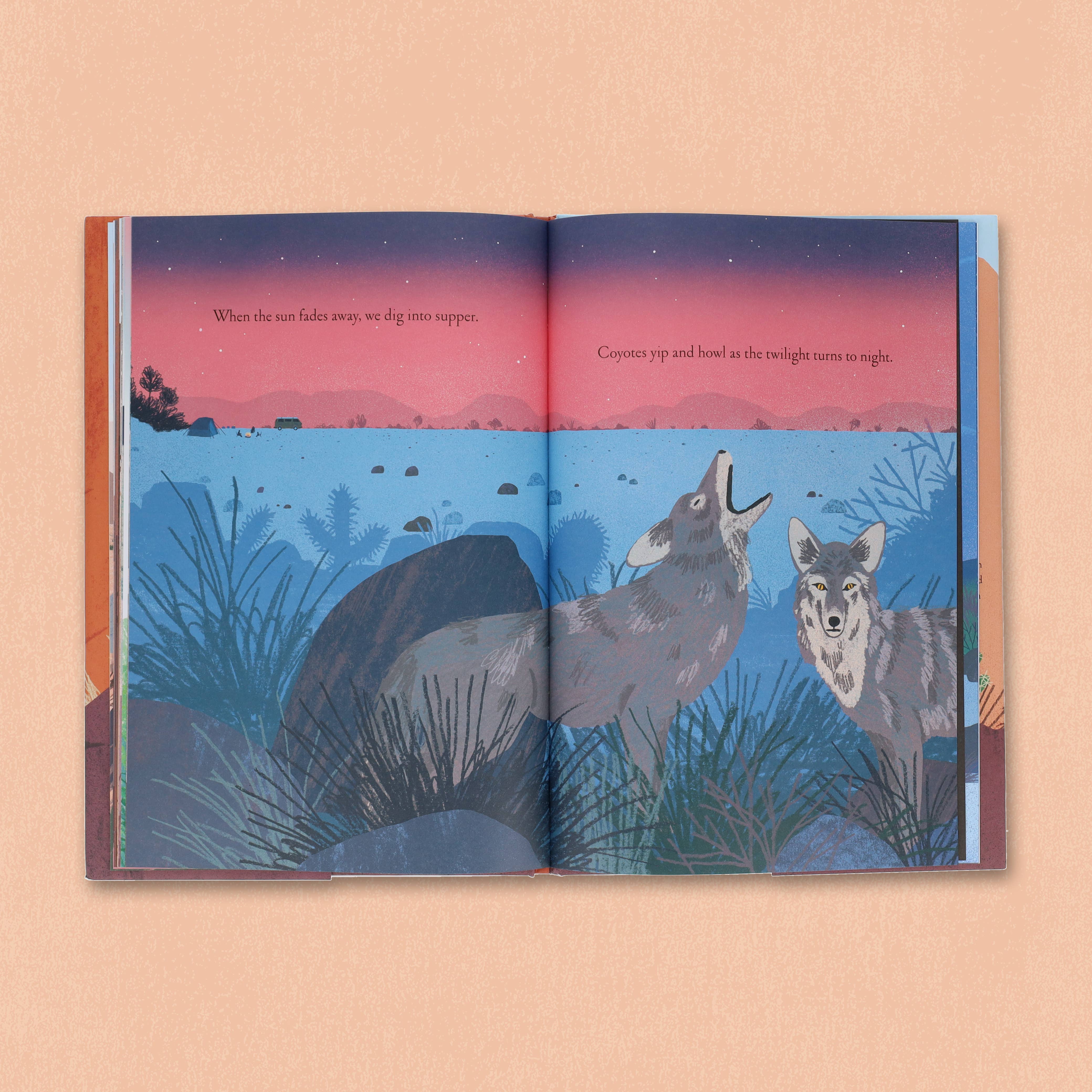 Chronicle Books - Wholesale Nature & Outdoors - Over and Under the Canyon15