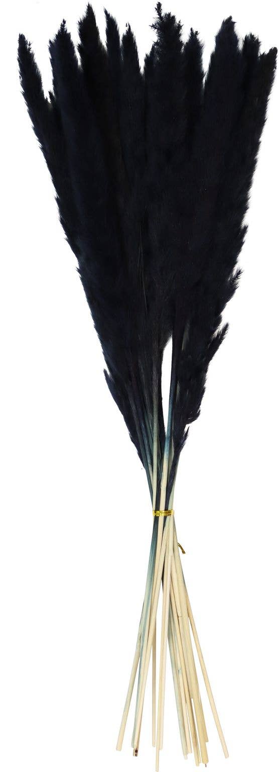 HOFF-INTERIEUR - Wholesale Dried/Pressed Flowers - PAMPAS GRASS BLACK 15-PIECE SET (HOFF1026)0
