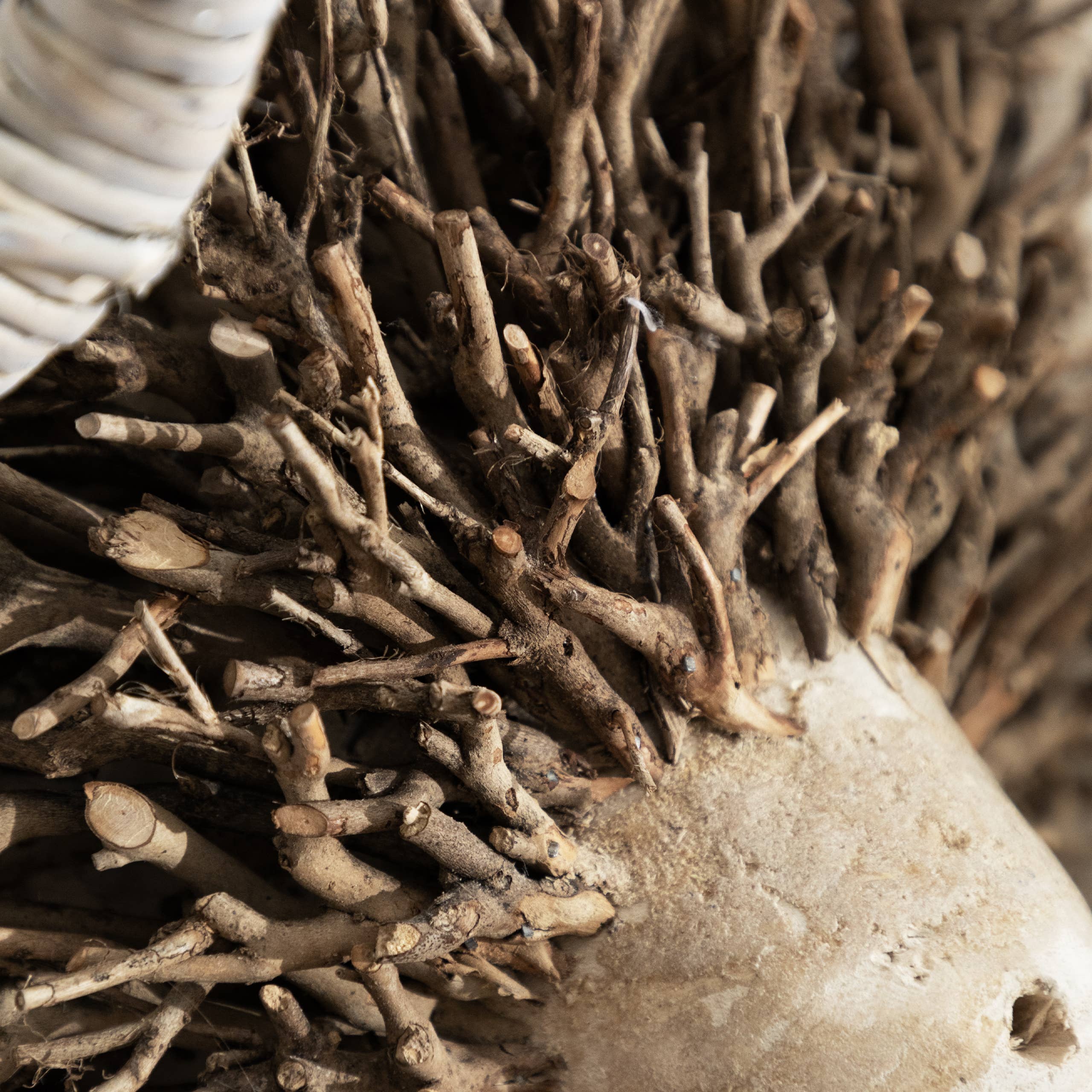 Beau Hand Crafted Ram Wooden Sculpture Brown for wholesale on Faire3