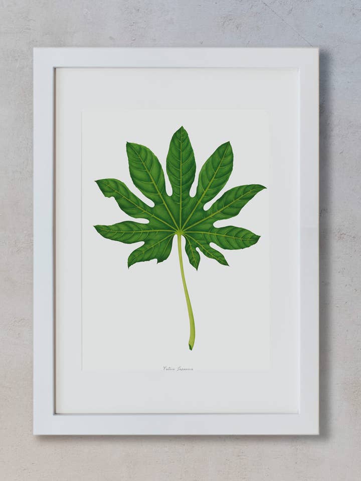 Watercolor Print - Fatsia Japonica for wholesale by Save the date projects