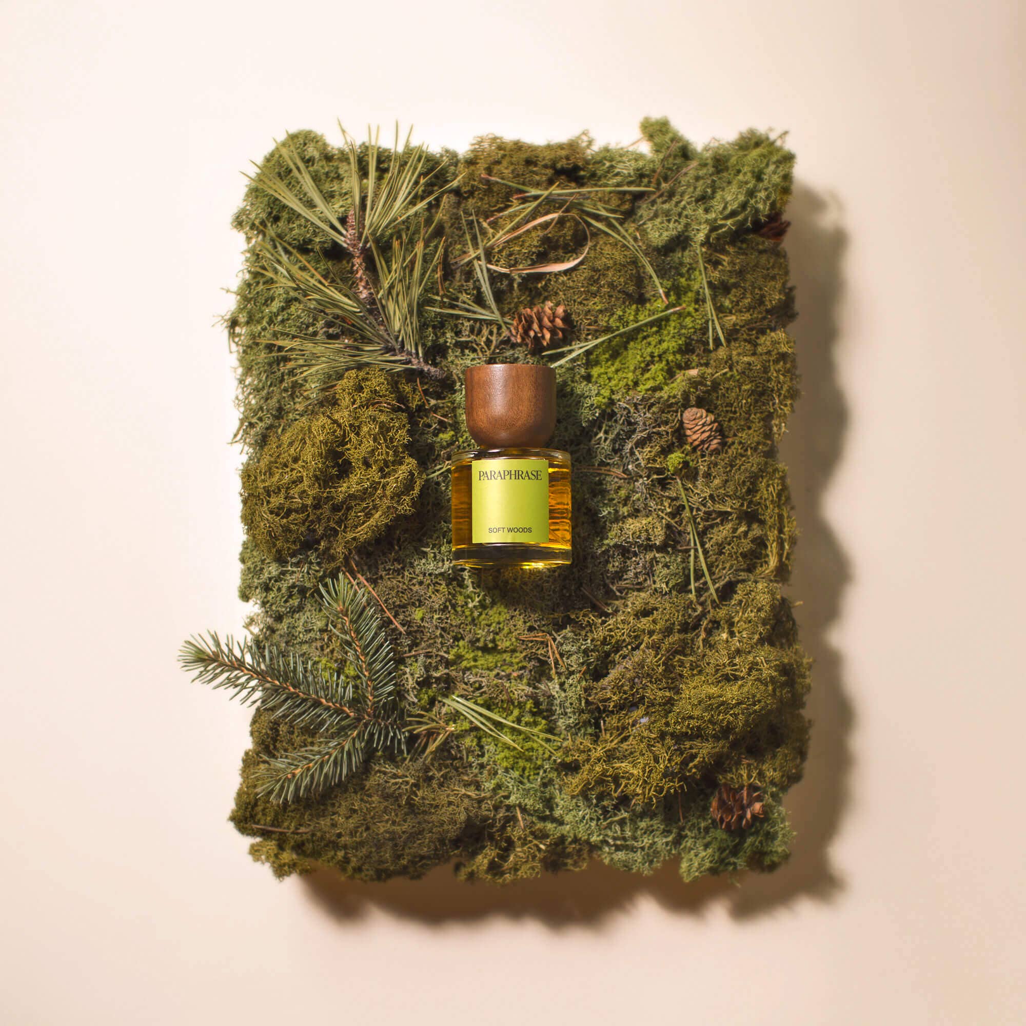 Paraphrase Perfume - Wholesale Perfume/Eau de Toilette - SOFT WOODS | CRISP CONIFER WOODS2