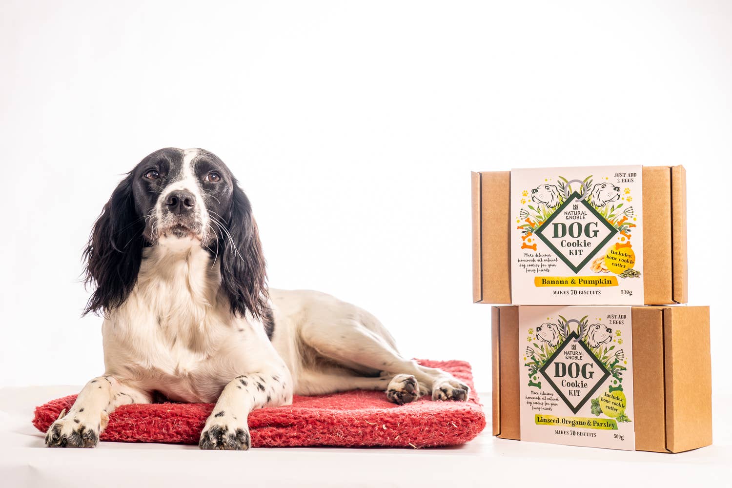 Dog By The Hob – wholesale Pet treats – Dog – Banana & Pumpkin Dog Cookie Making Kit (Dog By The Hob)7