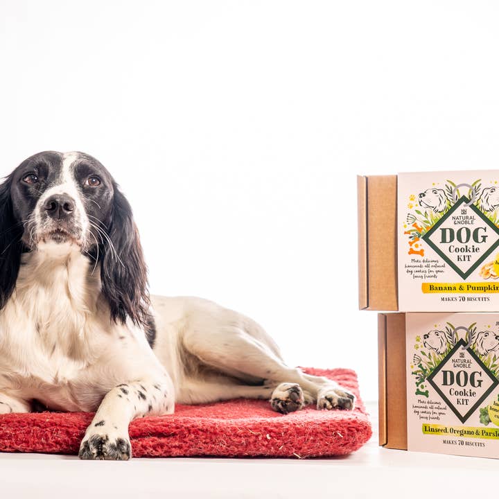 Dog By The Hob – wholesale Pet treats – Dog – Banana & Pumpkin Dog Cookie Making Kit (Dog By The Hob)7