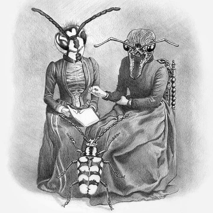 Pet Beetle- insect art print for wholesale by Strangely Rose