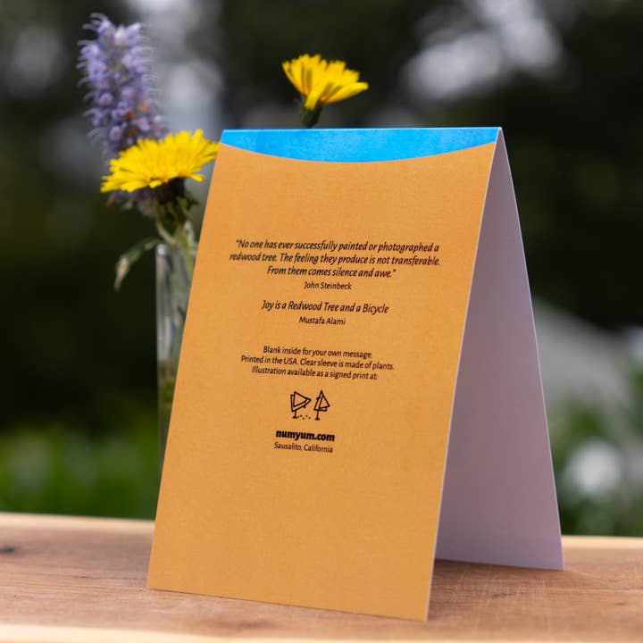 Numyum - Vendita all'ingrosso Biglietti di auguri generici - La gioia è una sequoia e una bicicletta4