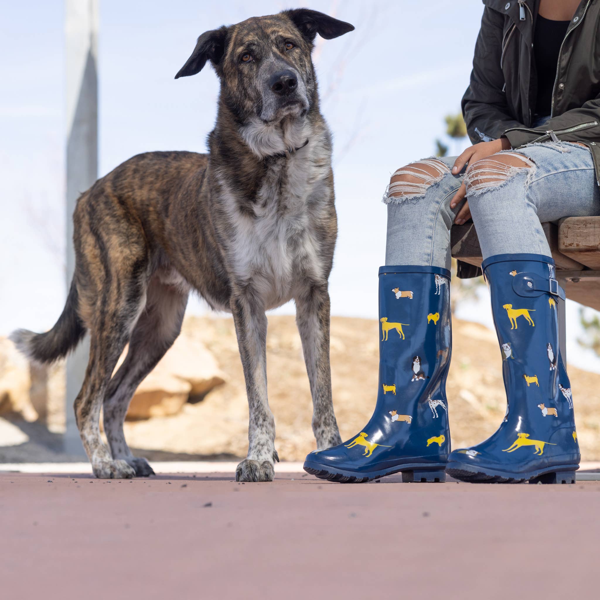 Eastern Off Price – wholesale Regnstövlar - Dam – Norty Women Hi Calf 13" Rain Boot 39699 Navy Tass Print5